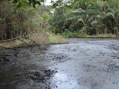 la-actividad-petrolera-contamina-los-rios-que-vierten-al-amazonas_image_380