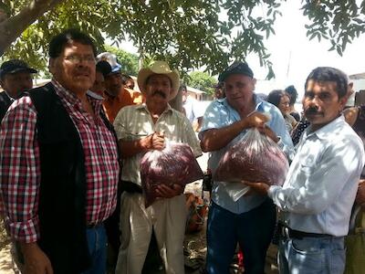 La CLOC LVC entrega semillas de frijol a grupos campesinos de Guaymaca, Francisco Morazán