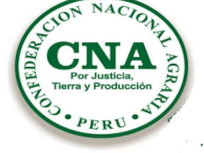 Logo CNA Per