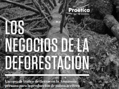 los_negocios_deforestacion