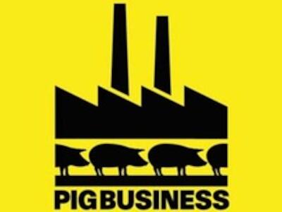 main_pigbusiness