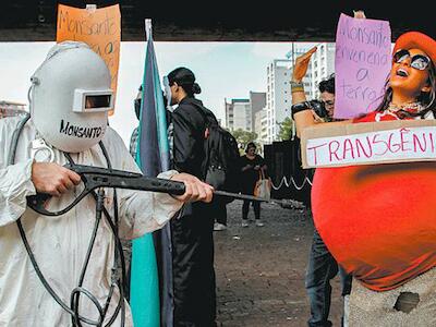 Manifestações pelo país marcarão Dia Mundial de Luta Contra os Agrotóxicos