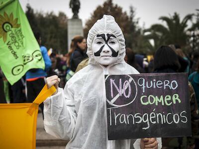 México invadido por transgénicos