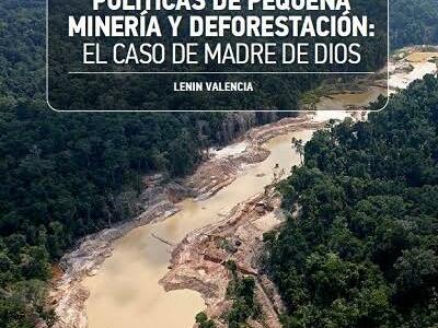 mineria y deforestacion