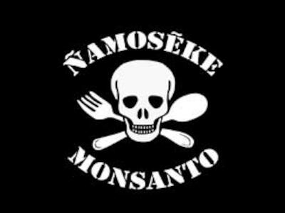 Ñamonseke Monsanto