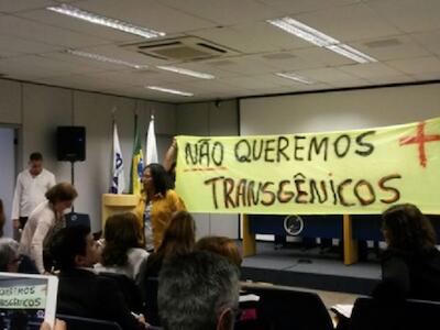 no a los transgenicos brasil