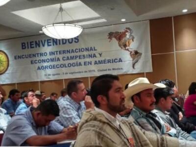 Organizaciones de 15 países anuncian ruta para la agroecología campesindia