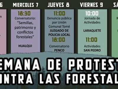 Organizaciones sociales llaman a realizar una semana de protesta contra el negocio forestal 2