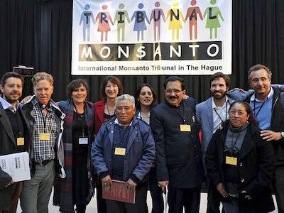 Pronunciamiento jurídico internacional contra la multinacional Monsanto