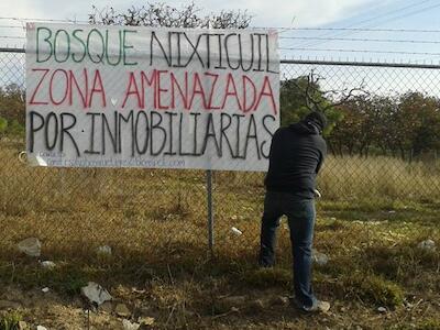 Solidaridad nacional e internacional en defensa del bosque Nixticuil en Zapopan, Jalisco