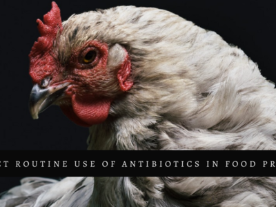 Sumemos nuestra firma para detener el mal uso de antibióticos en la producción de carne para consumo humano