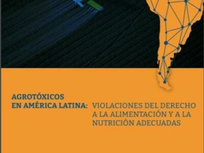 Agrotóxicos en América Latina: violaciones del derecho a la alimentación y la nutrición adecuadas