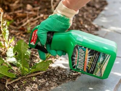 Bayer retira del mercado el glifosato para uso en jardinería