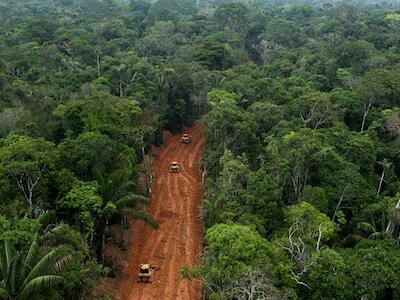 Boletín #244 del WRM - Cimentando deforestación, avanza la infraestructura al servicio de las corporaciones y el capital
