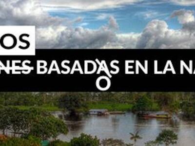 Boletín #255 del WRM: “Soluciones basadas en la naturaleza”, ocultando un enorme robo de tierras