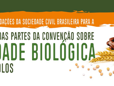 Carta aberta de recomendações da sociedade civil brasilera para a 14° Conferência das Partes da Convenção sobre Diversidade Biológica e seus Protoc...