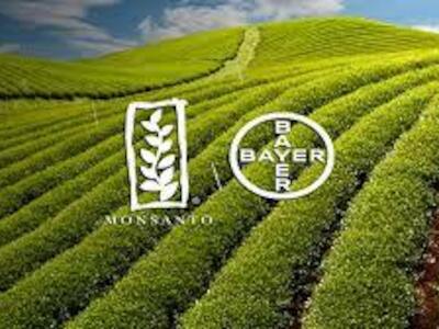 Con cada condena, la compra de Monsanto por parte de Bayer luce peor