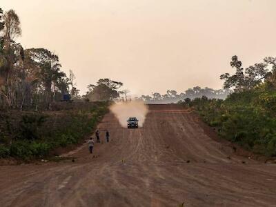 Desmatamento: os 25 piores inimigos da Amazônia