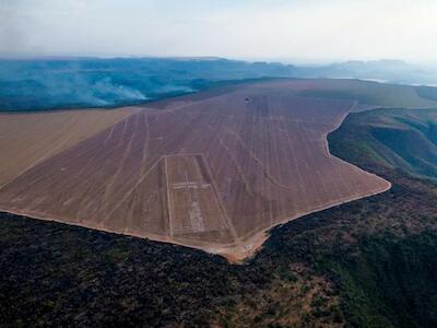 El acaparamiento de tierras agrícolas de Harvard y TIAA en Brasil se hace humo
