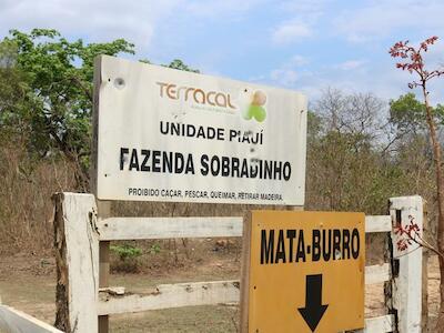 El acaparamiento de tierras de Harvard en Brasil es un desastre para las comunidades 