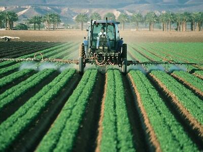 La producción y uso de fertilizantes y pesticidas consume el 40% de la energía usada en la agricultura