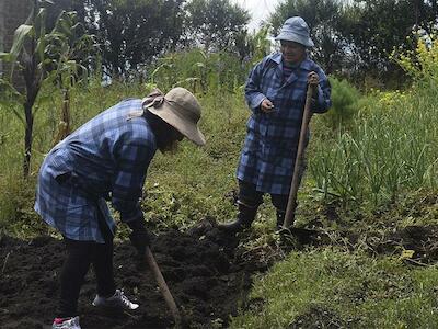 En Latinoamérica sí hay agricultura eficiente: es orgánica y no extensiva