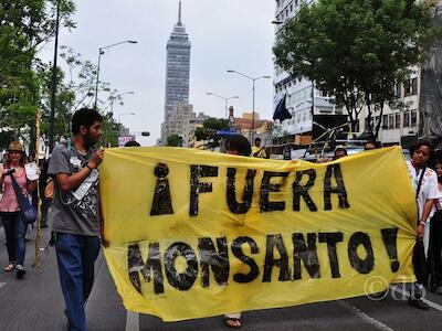 Gobierno decide reponer “Ley Monsanto” de la mano del TPP-11