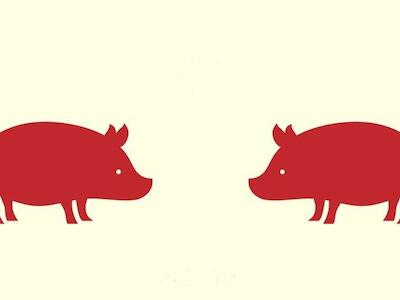 La cuestionable estrategia de China y Vietnam para controlar la pandemia de los cerdos en Asia
