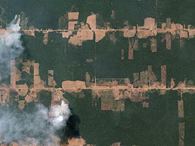 Deforestación en Rondônia, Brasil, 5 de agosto, 2016. Créditos: Planet Labs-Wikimedia Commons
