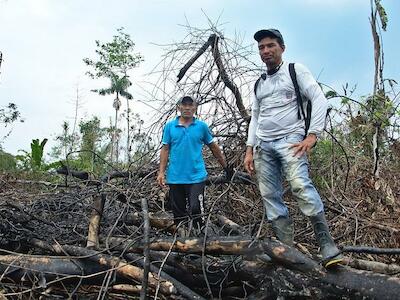 O ganha-ganha por trás das queimadas da Amazônia