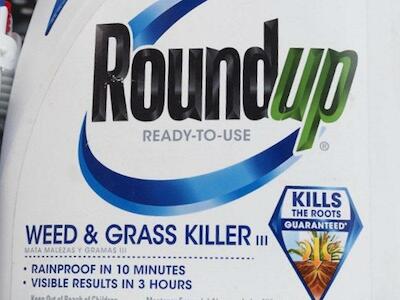 Otra condena contra Monsanto por causar cáncer, y se vienen 11.200 demandas más en Estados Unidos