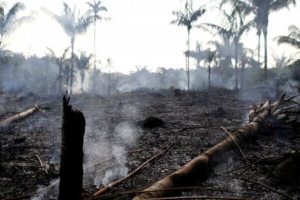 Recorde de queimadas reflete irresponsabilidade de Bolsonaro. Nota do Observatório do Clima