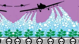 Unión de Científicos Comprometidos con la Sociedad y la Naturaleza de América Latina (UCCSNAL) demanda una prohibición global al glifosato Unión de Científicos Comprometidos con la Sociedad y la Naturaleza de América Latina (UCCSNAL) demanda una prohibición global al glifosato