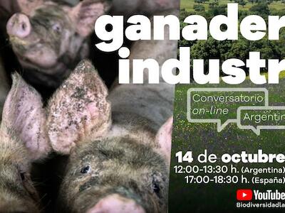 Conversatorio sobre ganadería industrial entre Argentina y España