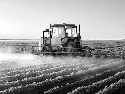 Glifosato, transgénicos y un experimento a cielo abierto