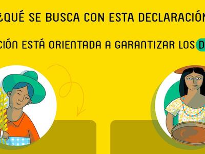 Infografía 2 | ¿Qué se busca con la Declaración de los derechos campesinos?