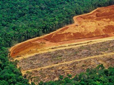 Fuente: foroambiental.net