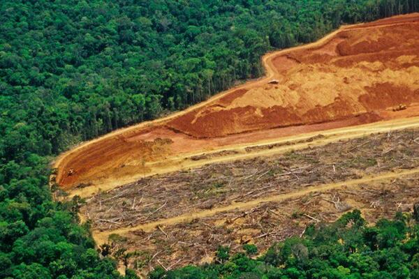 Fuente: foroambiental.net