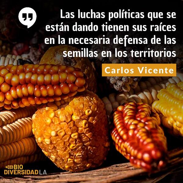 Semillas nativas y criollas en manos campesinas: la siembra de Carlos ...