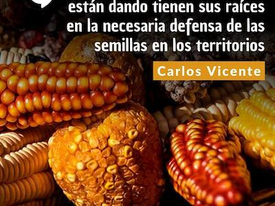 Semillas nativas y criollas en manos campesinas: la siembra de Carlos Vicente