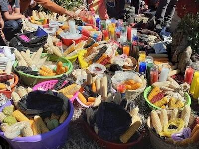 ¡No a la reactivación de la Ley Monsanto! 