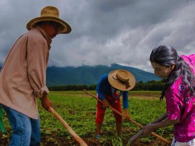 17Abril | Honduras: “El despojo de una comunidad campesina implica también el despojo de una forma de producir alimentos”
