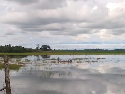 2 de febrero: Día Mundial de los Humedales 