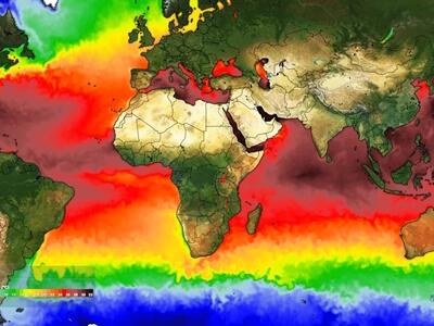 50 días de récords de temperatura en los mares