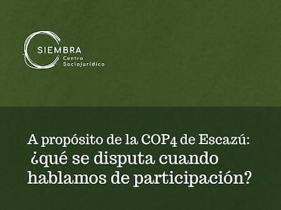 A propósito de la COP4 de Escazú: ¿qué se discute cuando hablamos de participación?