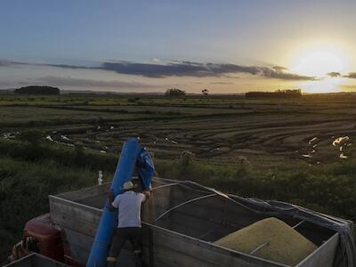 Trabalhadores rurais reivindicam programas de incentivo, de acesso e também de divulgação da importância e da relevância do trabalho feito pela agricultura familiar | Crédito: Pablo Albarenga