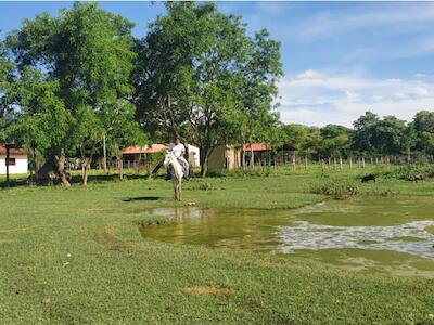 Agenda ambiental para Santa Cruz: Expertos ven urgente la conservación de bosques y fuentes de agua
