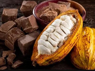 Afinal, o cacau será banido em definitivo do que conhecemos como chocolate? | Crédito: Caio Ferrari