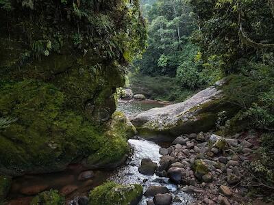 Foto: Diego Pérez / SPDA