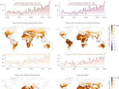 Alerta global por la aceleración del calor extremo